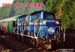 DD51Hokkaido_.jpg