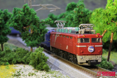 ロクハン製 「T015-1 EF81形電気機関車 北斗星塗装」です T015-1 T015-1 EF81形電気機関車 北斗星塗装 (EF81 Electric Locomotive